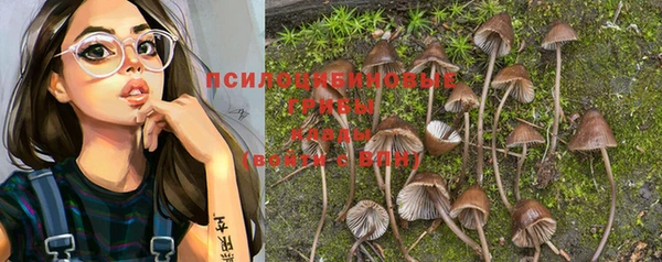 сатива Бронницы