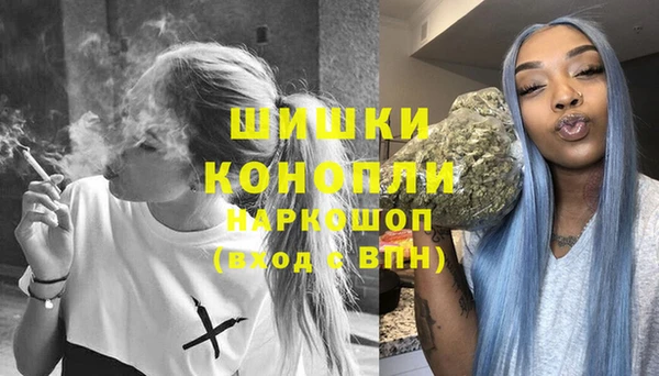 гидра Заполярный