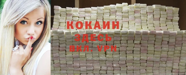 сатива Бронницы