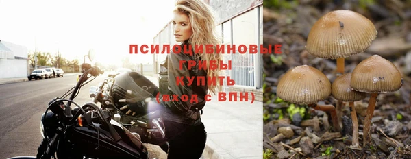 сатива Бронницы