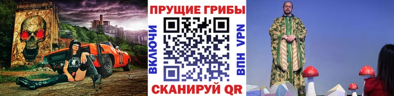 Псилоцибиновые грибы GOLDEN TEACHER  Ковылкино 